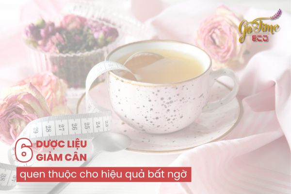 dược liệu giảm cân