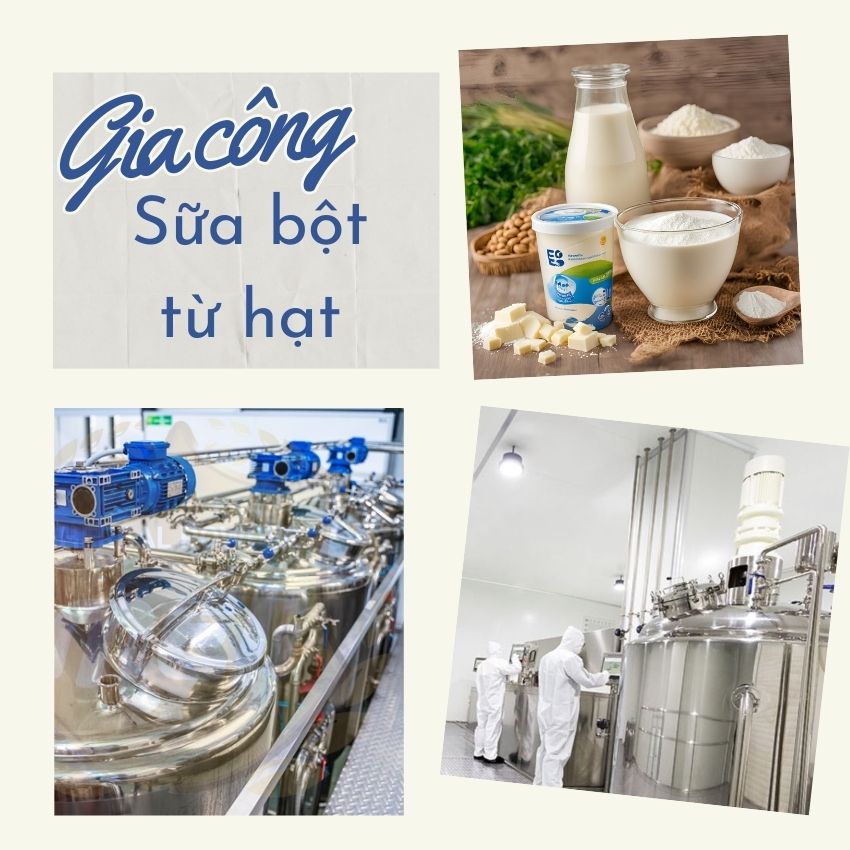 Nhà máy gia công sữa bột từ hạt