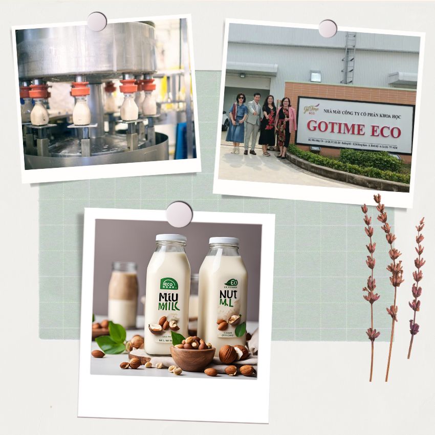 Gia công thực phẩm bổ sung sữa hạt tại Gotime Eco