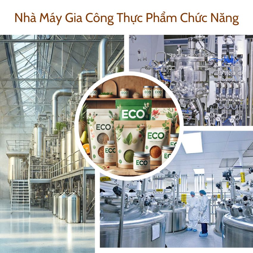 Nhà máy gia công thực phẩm chức năng